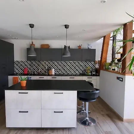 Holiday home Grange Du Petit Bonhomme Hesingue