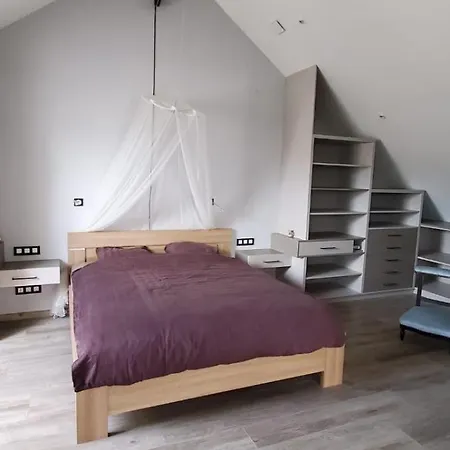 Grange Du Petit Bonhomme Holiday home Hesingue